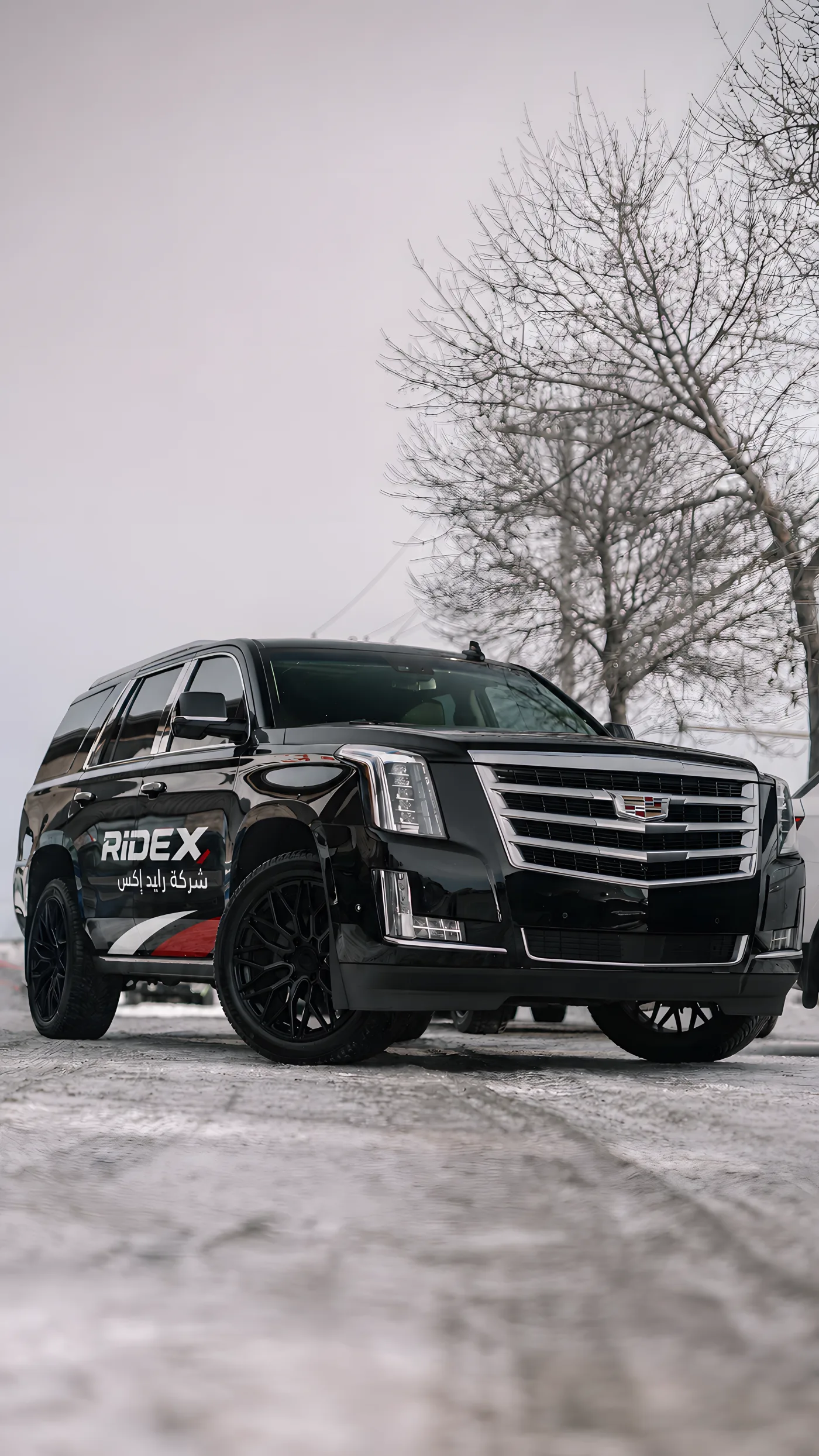 Ride X premium SUV